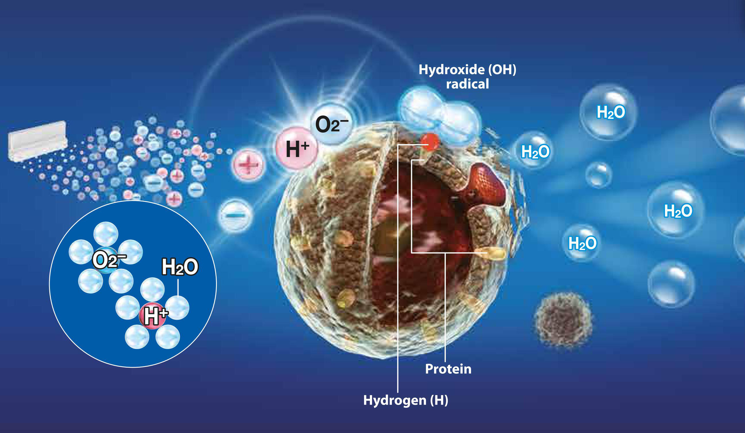 Plasma cluster technology to keep foods fresh 