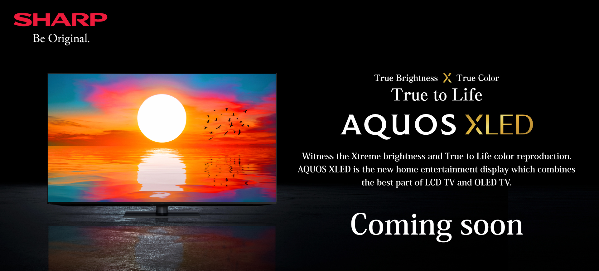 อะควอส เอ็กซ์แอลอีดี โฟร์เค ทีวี AQUOS XLED 4K TV